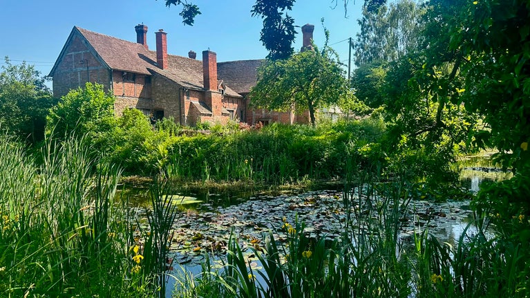 Rear of Brockhampton manor house with red brick and timber. In the front of the image is a moat covered in lily pads